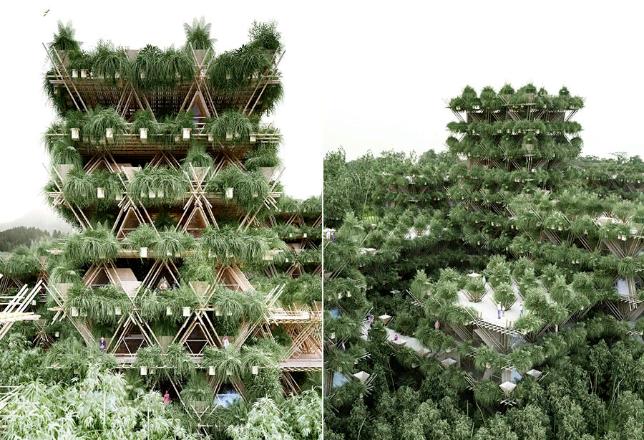 Уникальные архитектурные постройки из бамбука